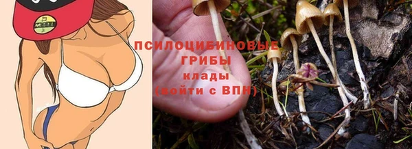 круглые Арсеньев